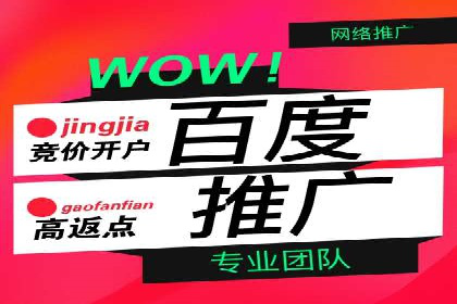 竞价代运营的技巧与经验：某大企业的成功之路